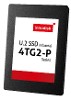 Produktbild U2 SSD 4TG2-P AES