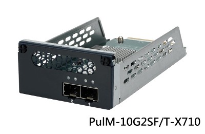 PulM-10G2SF